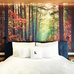 Wellness Lazne