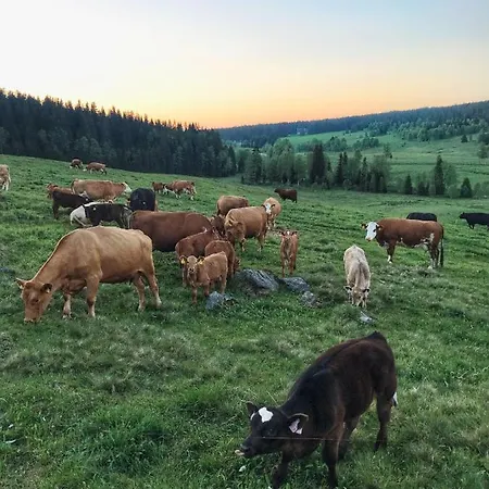 Wellness Lázně Penzion 4*