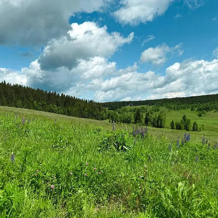 Wellness Lázně Penzion Kvilda