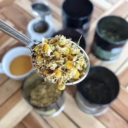 Wellness Lazne Vendégház Kvilda