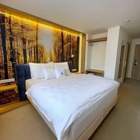 Wellness Lázně Gasthof 4*
