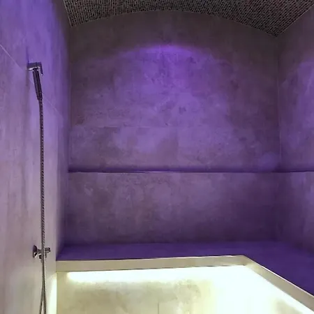Wellness Lázně Gasthof 4*