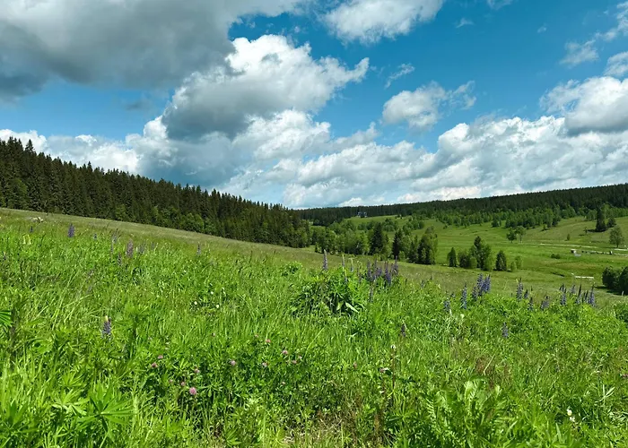 Wellness Lazne Pensionat Kvilda